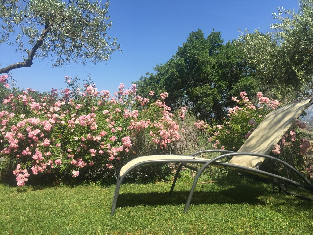 Fonte Pace Luxury Villa - A Fontanaro Property Paciano الغرفة الصورة